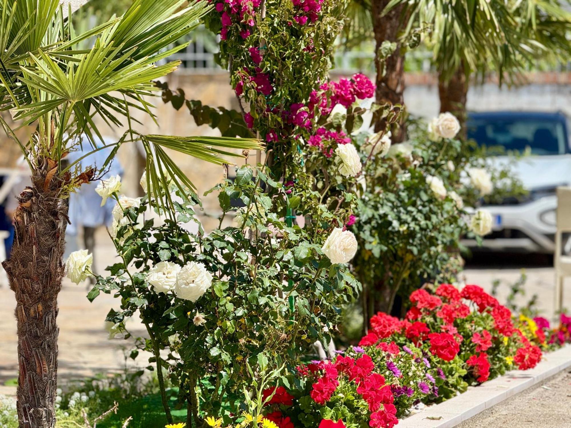 Villa Ida Apartments Vlorë エクステリア 写真