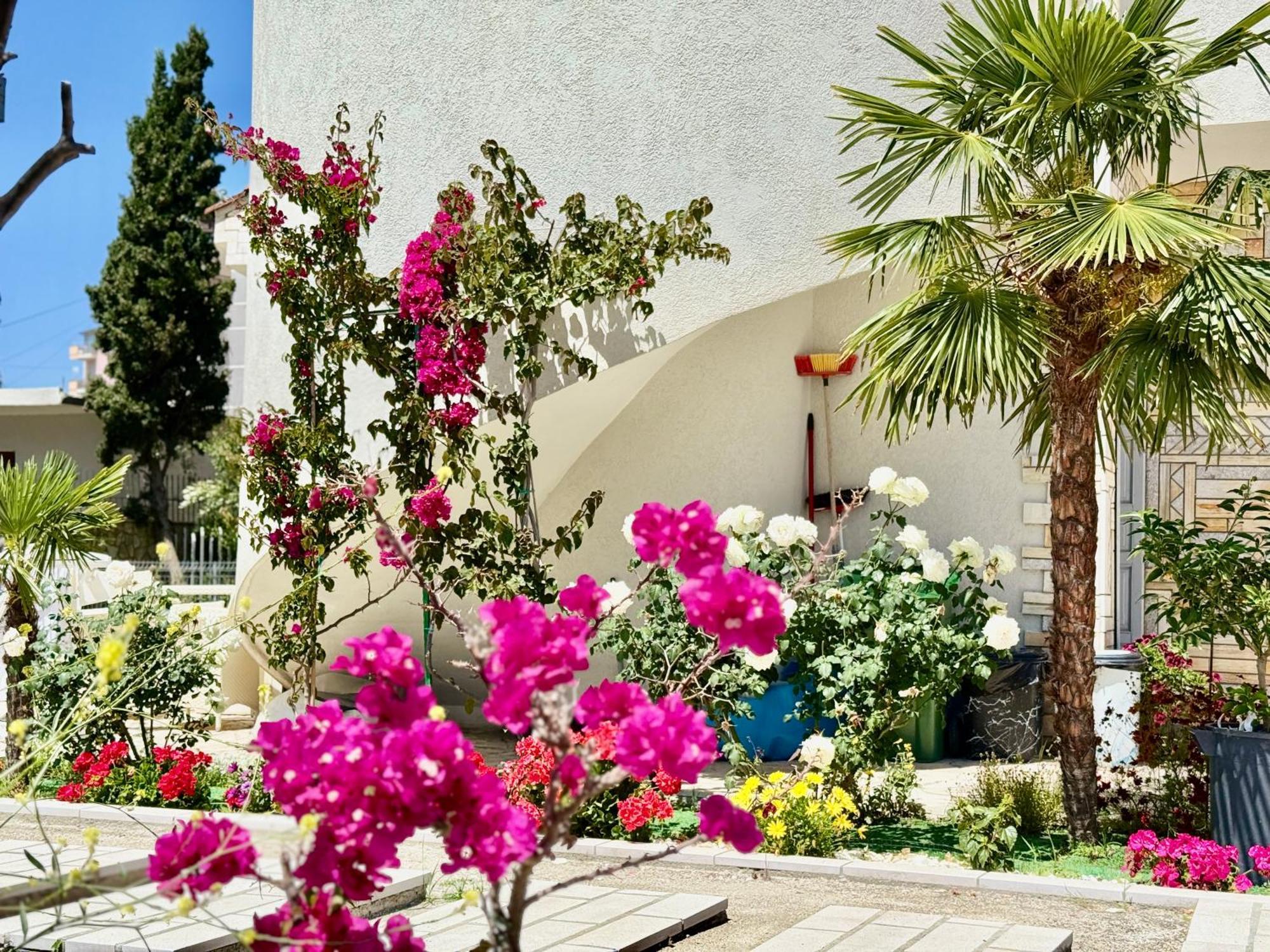 Villa Ida Apartments Vlorë エクステリア 写真